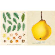 Load image into Gallery viewer, John Derian Sticker Book