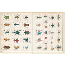 Load image into Gallery viewer, John Derian Sticker Book