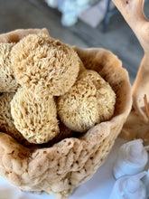 Load image into Gallery viewer, Sea Sponge