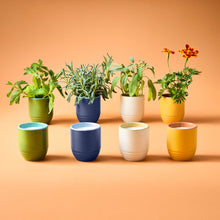 Load image into Gallery viewer, Garden Vibes 2-in-1 Candle &amp; Planter