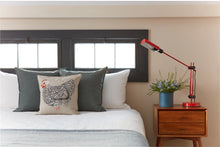 Load image into Gallery viewer, Mother Hen Pocket Pillow