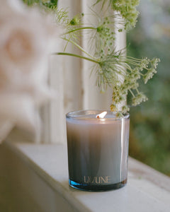 No. 7 Rosewood Candle