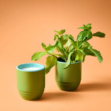 Load image into Gallery viewer, Garden Vibes 2-in-1 Candle &amp; Planter
