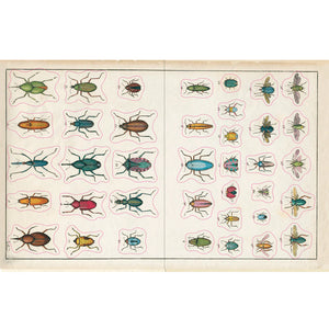 John Derian Sticker Book
