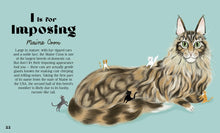 Load image into Gallery viewer, Catphabet