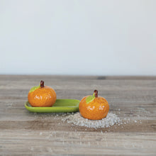 Load image into Gallery viewer, Clementine Salt &amp; Pepper Shakers