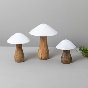 Enamel Top Mushrooms