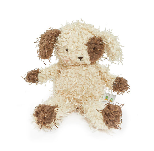 Shaggy Fetch Puppy